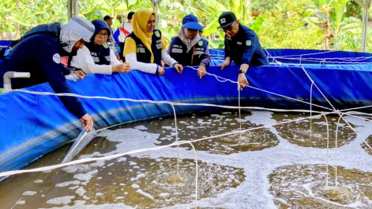 Arsip - Tim Dinas Perikanan Batam sedang melakukan pengecekan terhadap kualitas air dari budidaya sistem bioflok di kolam Kelompok Anak Karas Kecil di Batam, Kepri, Selasa (5/5) (ANTARA/Amandine Nadja)
