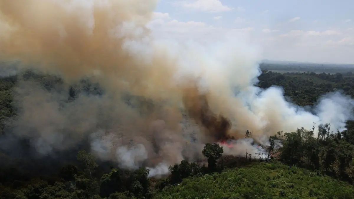 Foto udara asap membumbung tinggi dari kebakaran hutan dan lahan gambut di Kabupaten Ketapang, Kalimantan Barat. (ANTARA/Jessica Helena Wuysang)