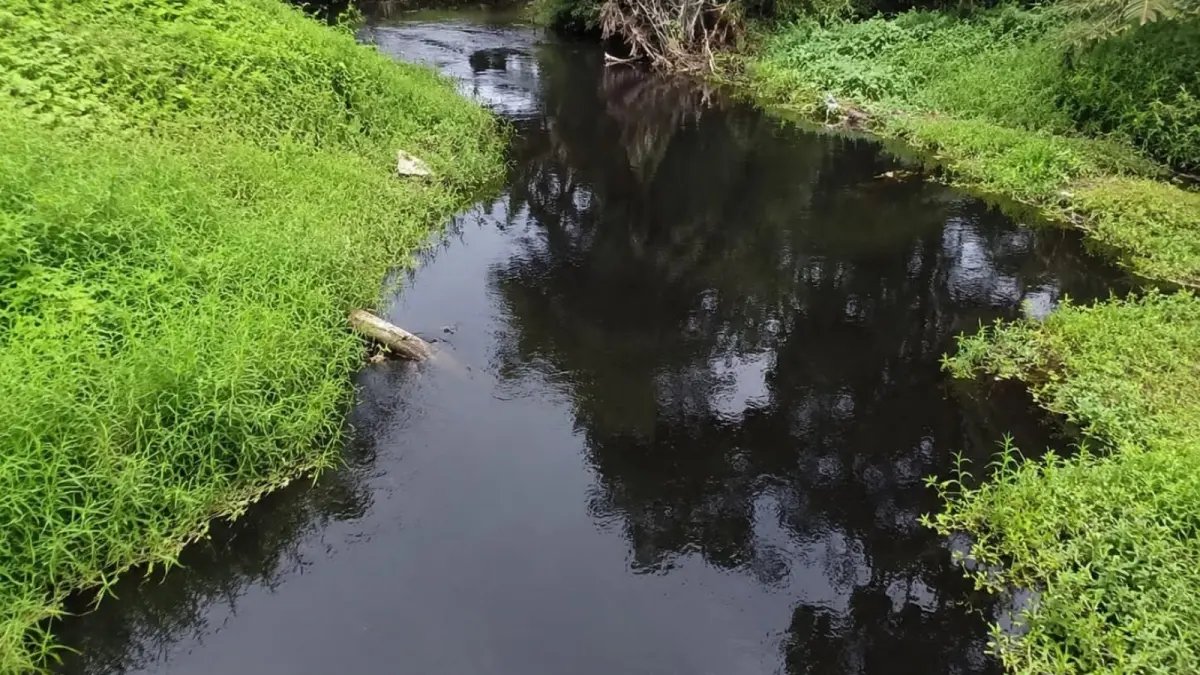 Kondisi air Sungai Lape di Desa Binjai, Kecamatan Tayan Hulu, Kabupaten Sanggau, yang tampak menghitam. Pemerintah desa meminta Dinas Lingkungan Hidup (DLH) Kabupaten Sanggau melakukan investigasi untuk memastikan penyebab perubahan warna air tersebut. (ISTIMEWA)