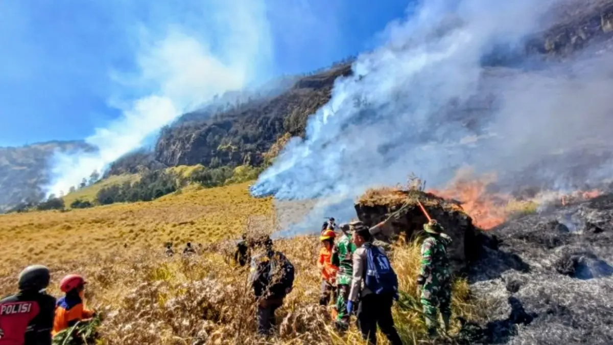 Petugas gabungan memadamkan kobaran api di Bukit Sariwani, Kecamatan Sukapura, Kabupaten Probolinggo, Rabu (5/8). (ANTARA/HO-BPBD Probolinggo)