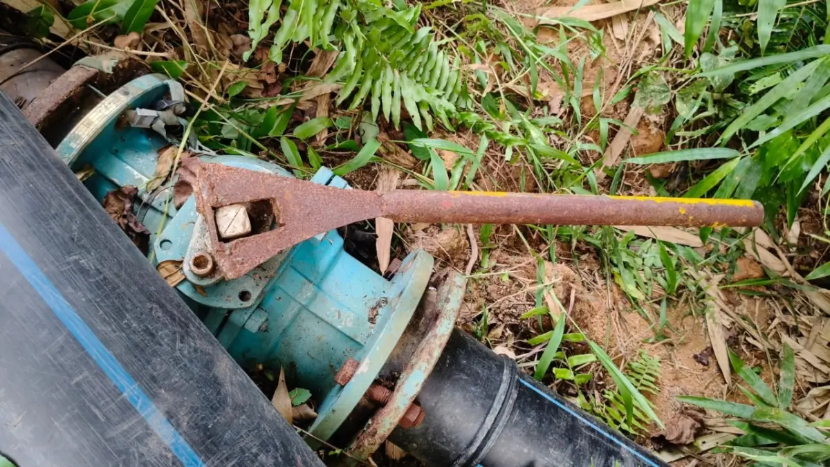 Saluran pipa yang diduga menjadi jalur pembuangan limbah PT Sasmita Bumi Wijaya (SBW) menuju Sungai Lape di Desa Binjai, Kecamatan Tayan Hulu, Selasa (4/8/2026). (ISTIMEWA)&nbsp;