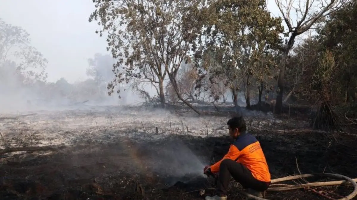 Kepala Bidang Pemadaman, Penyelamatan, dan Sarana (Kabid Damkar) ⁠BPBD Kabupaten Kubu Raya Sulistiono menyemprotkan air ke lokasi hutan dan lahan gambut yang terbakar di belakang Kompleks Arwana Indah di Desa Arang Limbung, Kecamatan Sungai Raya, Rabu (5/8/2026). (ANTARA/HO-Jessica Helena Wuysang)

