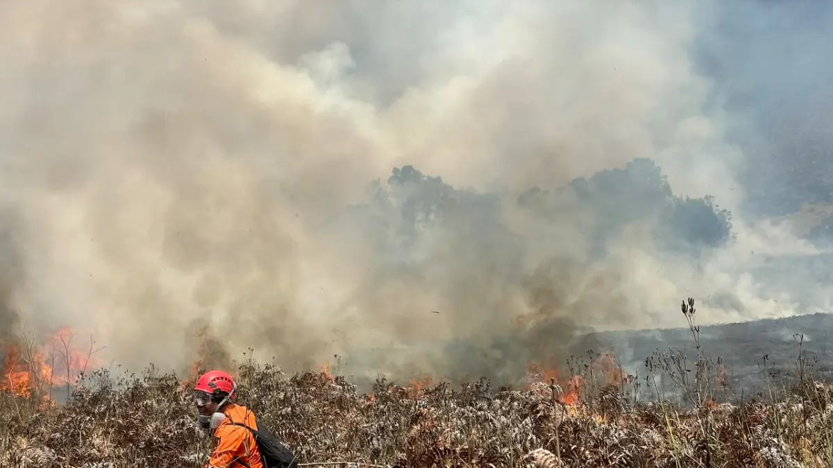 Petugas berupaya memadamkan kobaran api yang melanda kawasan Taman Nasional Bromo Tengger Semeru (TNBTS). Medan terjal, vegetasi kering, dan angin kencang membuat proses pemadaman berlangsung sulit, sementara operasi water bombing disiapkan untuk mendukung penanganan dari udara. (JAWA POS)