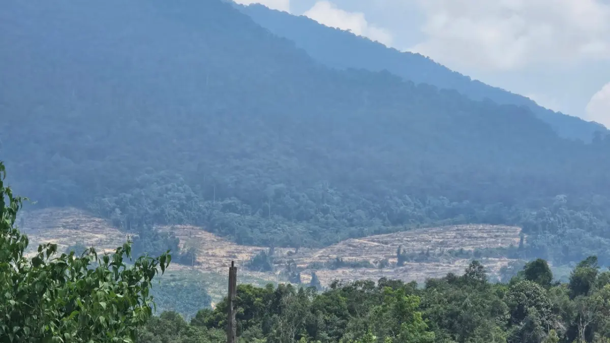Bukit Kemantan Puring Kencana merupakan tempat sumber air bersih masyarakat. Kini debet airnya sudah turun akibat kemarau dan sekitaran bukit sudah banyak ditanami sawit. (ISTIMEWA)