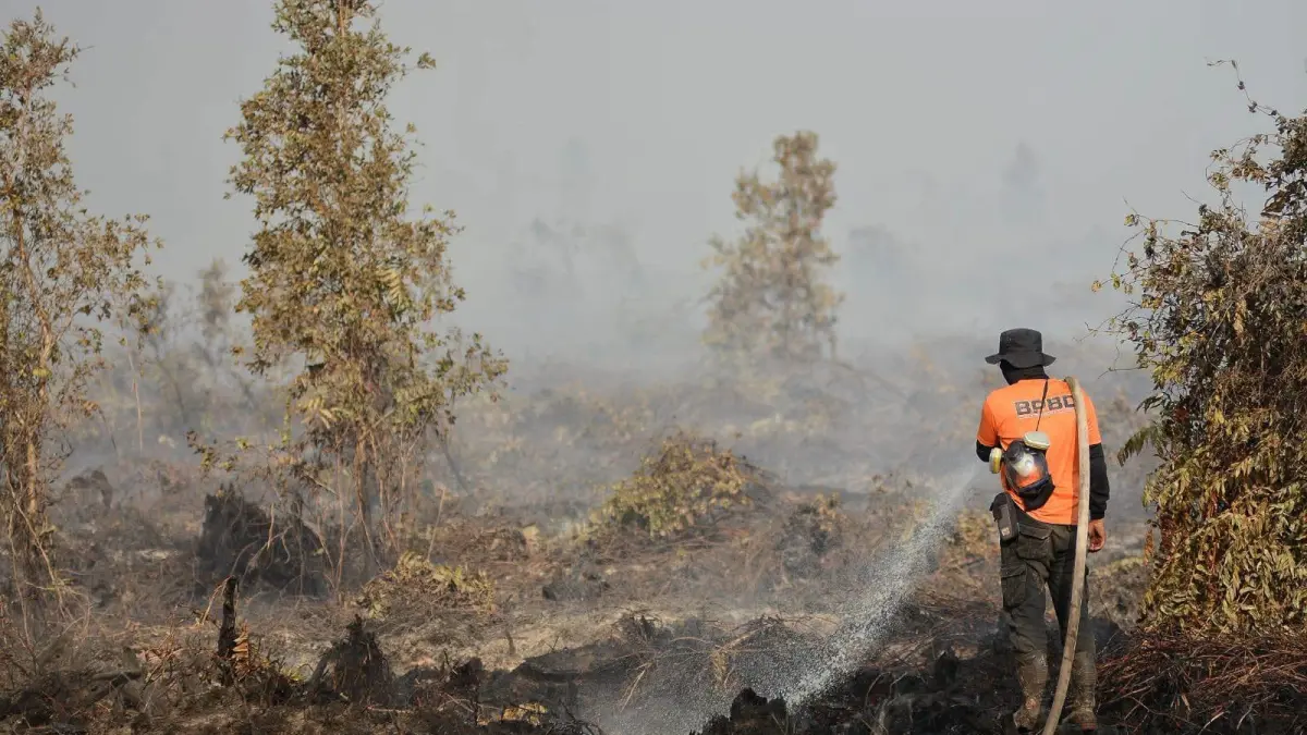 Petugas masih melakukan pendinginan di lokasi kebakaran di Pelang, Matan Hilir Selatan, Rabu (5/8). (ISTIMEWA)
