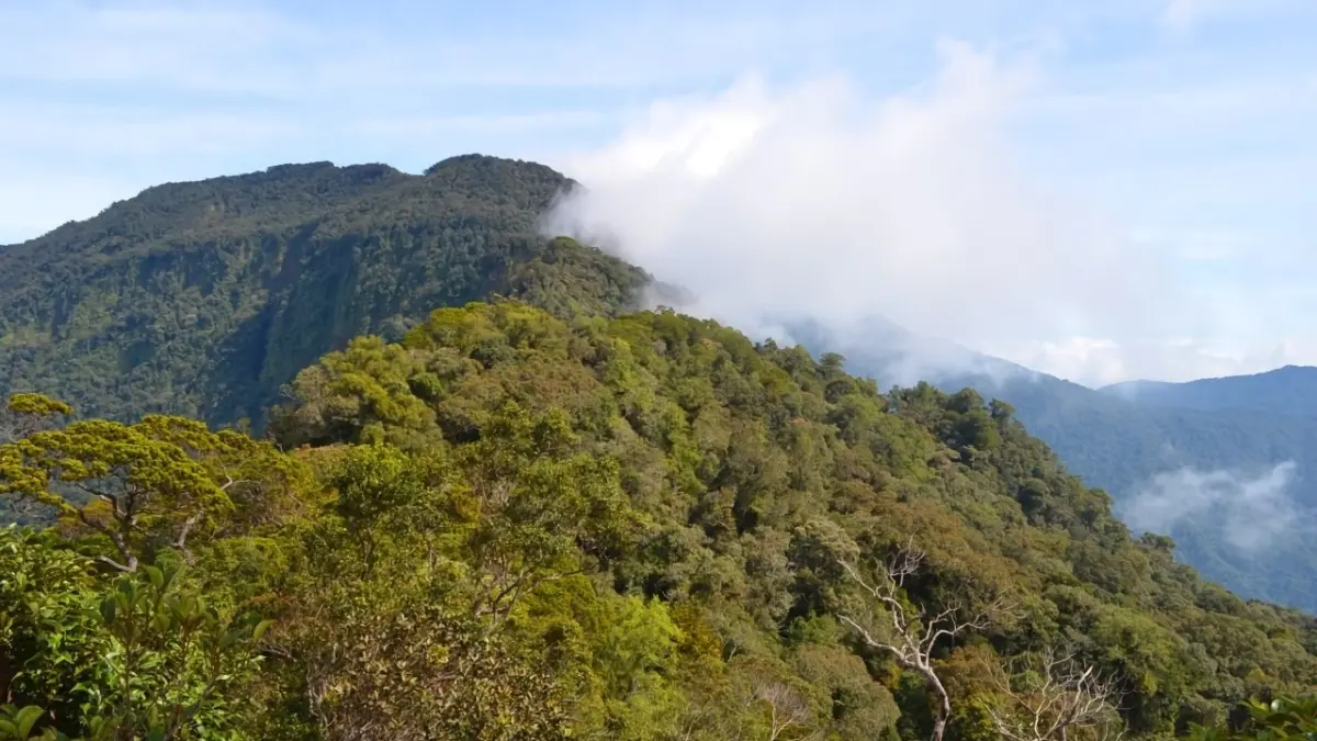 Pemandangan Taman Nasional Bukit Baka Bukit Raya (TNBBR). (ATOURIN)