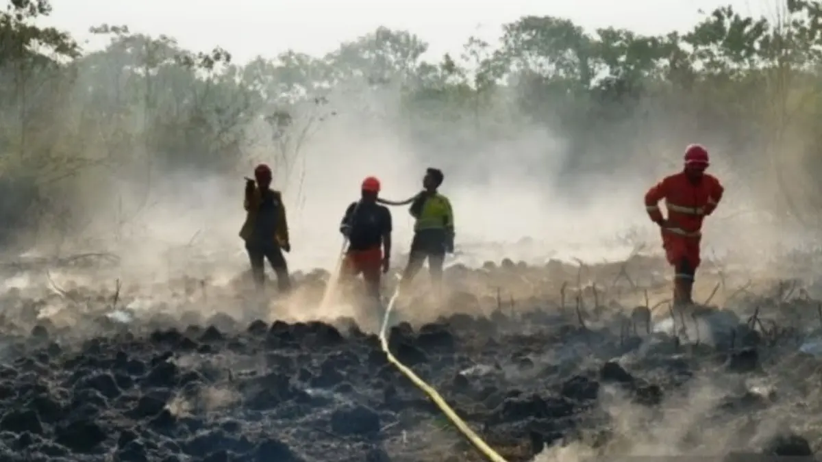 Penanganan kebakaran hutan dan lahan di Desa Sungai Bawang, Kabupaten Kutai Kartanegara, Kaltim. (ANTARA/HO-BPBD Kaltim)