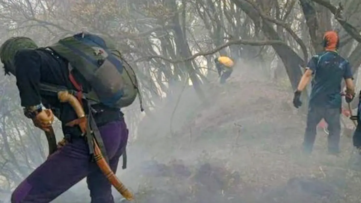 Petugas berusaha melakukan pemadaman kebakaran lahan di sekitar Kawah Wadon, kawasan Gunung Gede kawasan Taman Nasional Gunung Gede Pangrango (TNGGP), Jumat (7/8) (ANTARA/HO-Kemenhut)