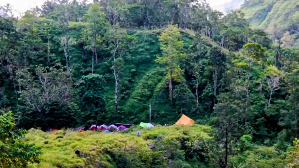 Wisatawan saat camping di kawasan wisata Sembalun kawasan Gunung Rinjani Lombok, Nusa Tenggara Barat di Lombok Timur, Sabtu (8/8). (ANTARA/HO-Humas Balai TNGR).