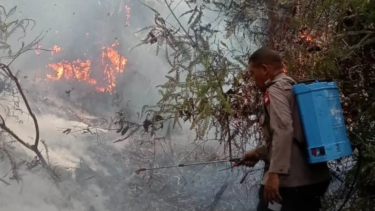 Petugas gabungan Polres Sanggau bersama instansi terkait berjibaku menangani kebakaran hutan dan lahan di Dusun Nyandang, Desa Sungai Mawang, Kecamatan Kapuas, Sanggau, Sabtu (8/8/2026). (ISTIMEWA