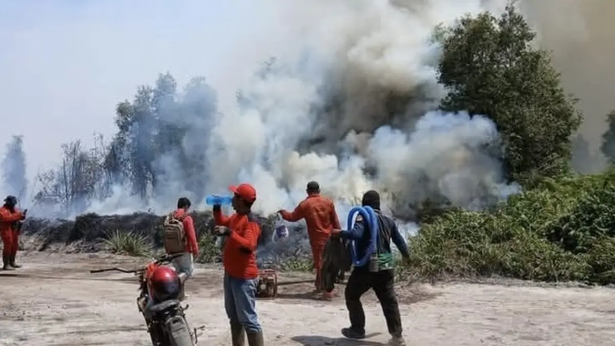 Hasil perhitungan luas kebakaran hutan dan lahan (Karhutla) yang dirilis oleh Kementerian Kehutanan, luas lahan yang terbakar hingga Juni 2026 mencapai 8.095,95 hektare. (ISTIMEWA)