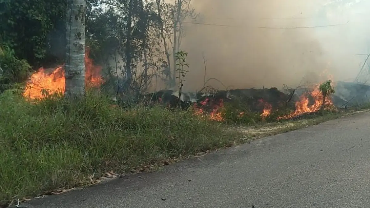 Lahan di samping akses Jalan Lingkungan Dokuk, Kelurahan Sungai Sengkuang, Kecamatan Kapuas, Sanggau, terbakar, Senin (10/8). (ISTIMEWA)