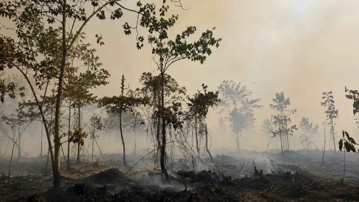 Karhutla di Kelurahan Mengkurai, Kabupaten Sintang menjadi satu diantara titik hotspot yang saat ini tengah menjadi perhatian khusus bagi relawan dan pemadam kebakaran.(ISTIMEWA) 

