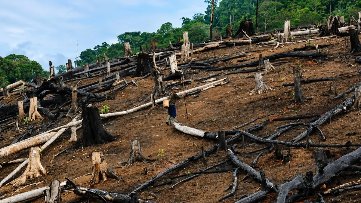 NUGAL: Gambaran aktivitas petani membuka dan menyiapkan lahan untuk nugal pertanian ladang berpindah di Kabupaten Ketapang sebagai bagian dari tradisi dan sumber penghidupan Masyarakat lokal. Ladang berpindah telah diatur dalam Perda No. 1/2022 dengan syarat ketat. (ANTARA)

&nbsp;