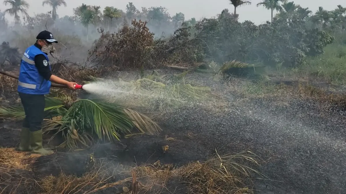 Deputi Bidang Penegakan Hukum Lingkungan Hidup, Irjen Pol Rizal Irawan sedang memadamkan api di Desa Limbung Kecamatan Sungai Raya. (ISTIMEWA)