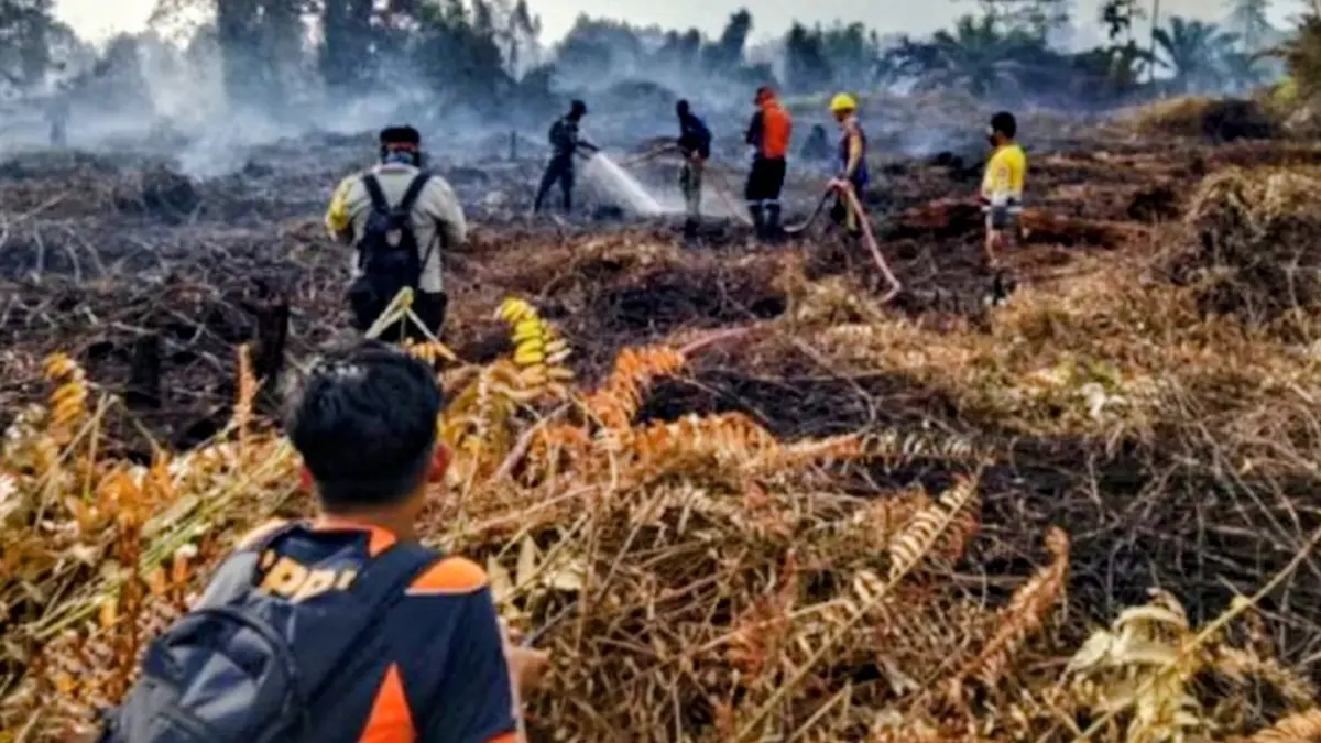 Dokumentasi - Tim gabungan berjibaku memadamkan api kebakaran lahan. (ANTARA/HO-BPBD Kobar)