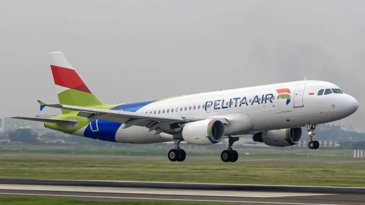 Pesawat maskapai Pelita Air. (IST)