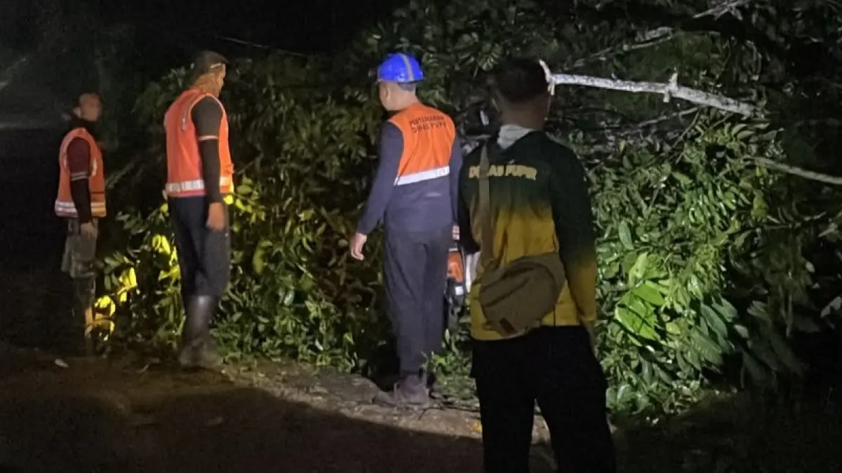 Tim Dinas PU Pemkot Pontianak bergerak cepat memangkas pohon tumbang di Parit Mayor setelah hujan deras dan angin kencang menutup jalan, menimpa kabel listrik serta jaringan WiFi.