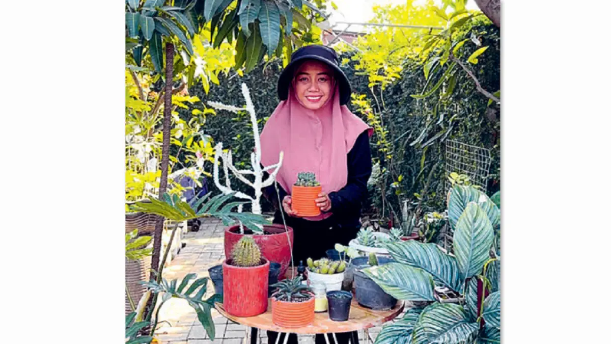 Qodia memakai media tanam khusus agar sukulen tumbuh baik. (DOK JAWAPOS)