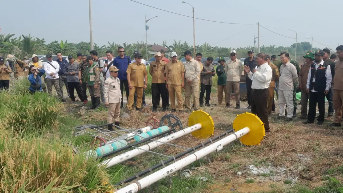 Bupati Sambas Satono bersama jajaran meninjau panen perdana padi dengan metode PM-AAS di Desa Semparuk.
