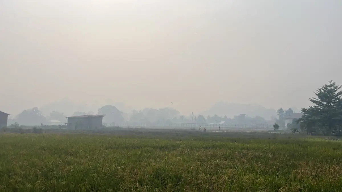 Kondisik Kabut asap tebal, membuat anak sekolah dipulangkan lebih awal, di Sukadana, Kabupaten Kayong Utara, Kalimantan Barat. (DANANG PRASETYO / PONTIANAK POST)