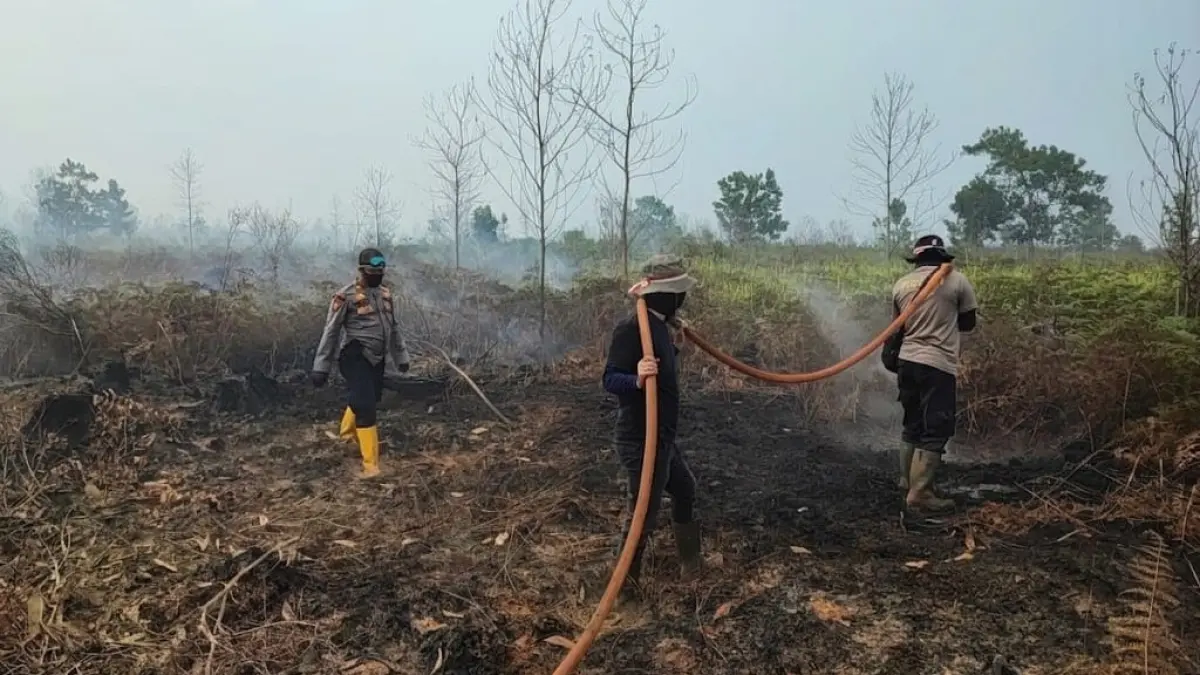 PENDINGINAN KARHUTLA: Petugas gabungan melakukan pemadaman dan pendinginan di lahan bekas karhutla Kubu Raya untuk memastikan bara tidak kembali menyala.