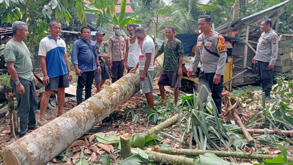 POHON TUMBANG: Petugas meninjau rumah warga di Dusun Mamek Bangsal, Menyuke, Landak, yang rusak tertimpa pohon akibat hujan deras dan angin kencang.