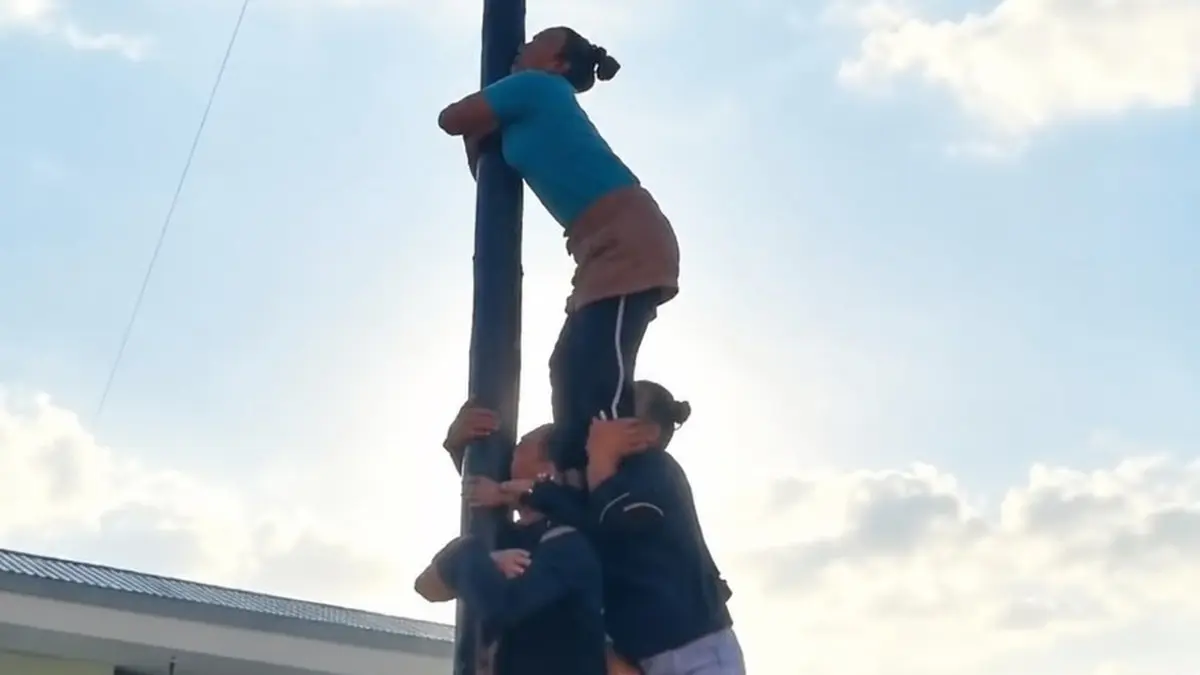 Potongan video emak-emak kompak memanjat pohon pinang hingga mencapai puncak dan berhasil mengibarkan bendera Merah Putih dalam lomba HUT ke-81 Kemerdekaan RI di Singkawang.