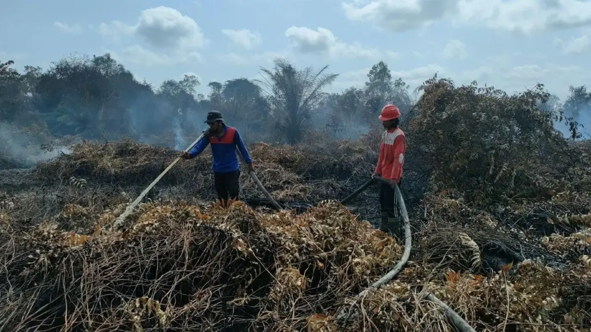 KEMBALI BERJIBAKU: Tim gabungan memadamkan dan melakukan pendinginan lahan yang terbakar di Kecamatan Kendawangan, Ketapang. Sebanyak 15 hektare lahan di tiga desa terdampak karhutla.