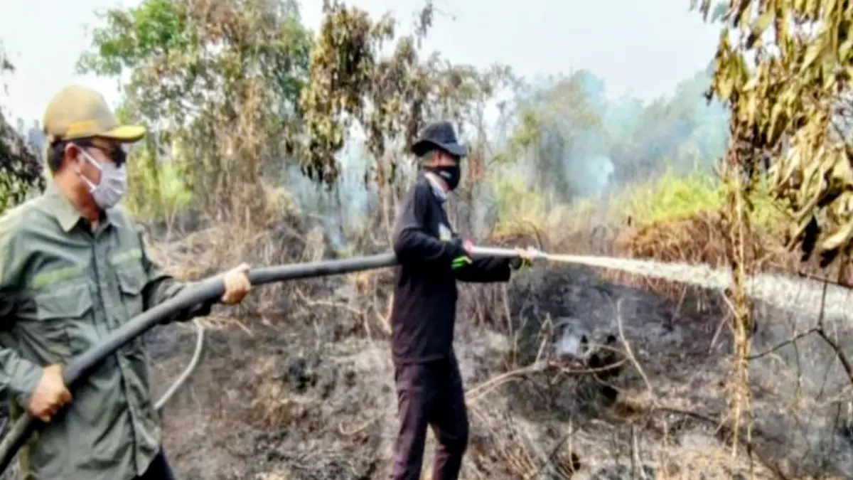 Bupati Hulu Sungai Utara (HSU) Sahrujani saat ikut berjibaku memadamkan karhutla di Desa Beringin, Kecamatan Banjang. (ANTARA/Firman)