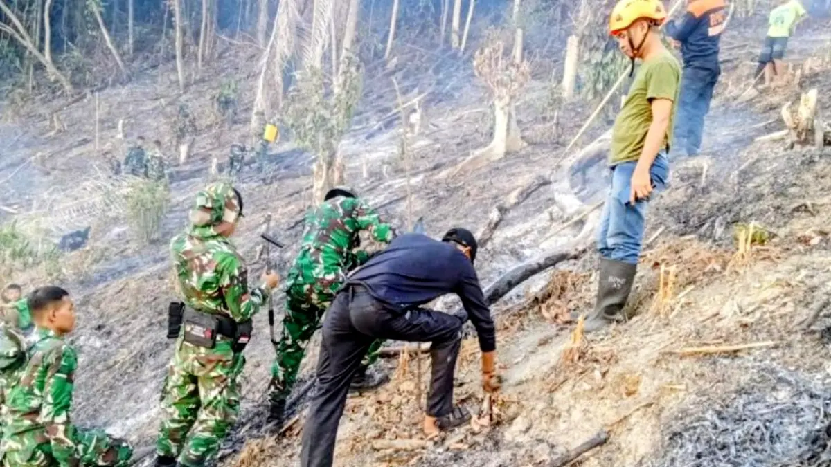 Kodam XXIII/Palaka Wira bersama unsur gabungan memadamkan kebakaran hutan dan lahan (karhutla) di Desa Alindau, Kecamatan Sindue Tobata, Kabupaten Donggala, Sulawesi Tengah. (ANTARA/HO-Humas Kodam XXIII/Palaka Wira)