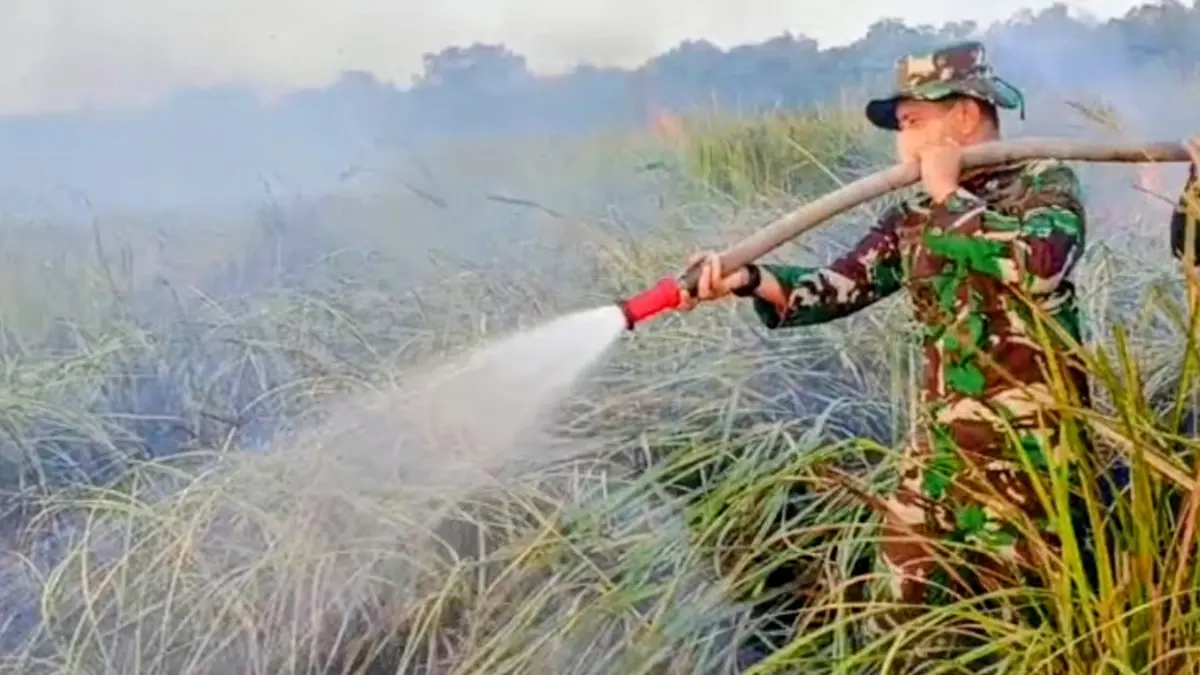 Personel TNI AD membantu proses pemadaman kebakaran hutan dan lahan (karhutla) di Taman Nasional Way Kambas (TNWK), di Provinsi Lampung. Sabtu (22/8). (ANTARA/HO-Kodam XXI)