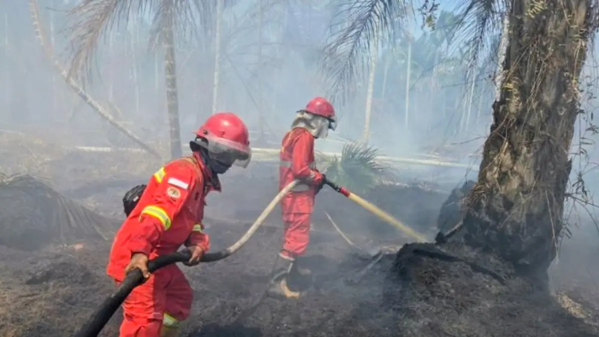 Lokasi kebakaran hutan dan lahan di Deaa Muntialo, Kabupaten Tanjung Jabung Barat, Jambi (ANTARA/HO-Manggala Agni Jambi)