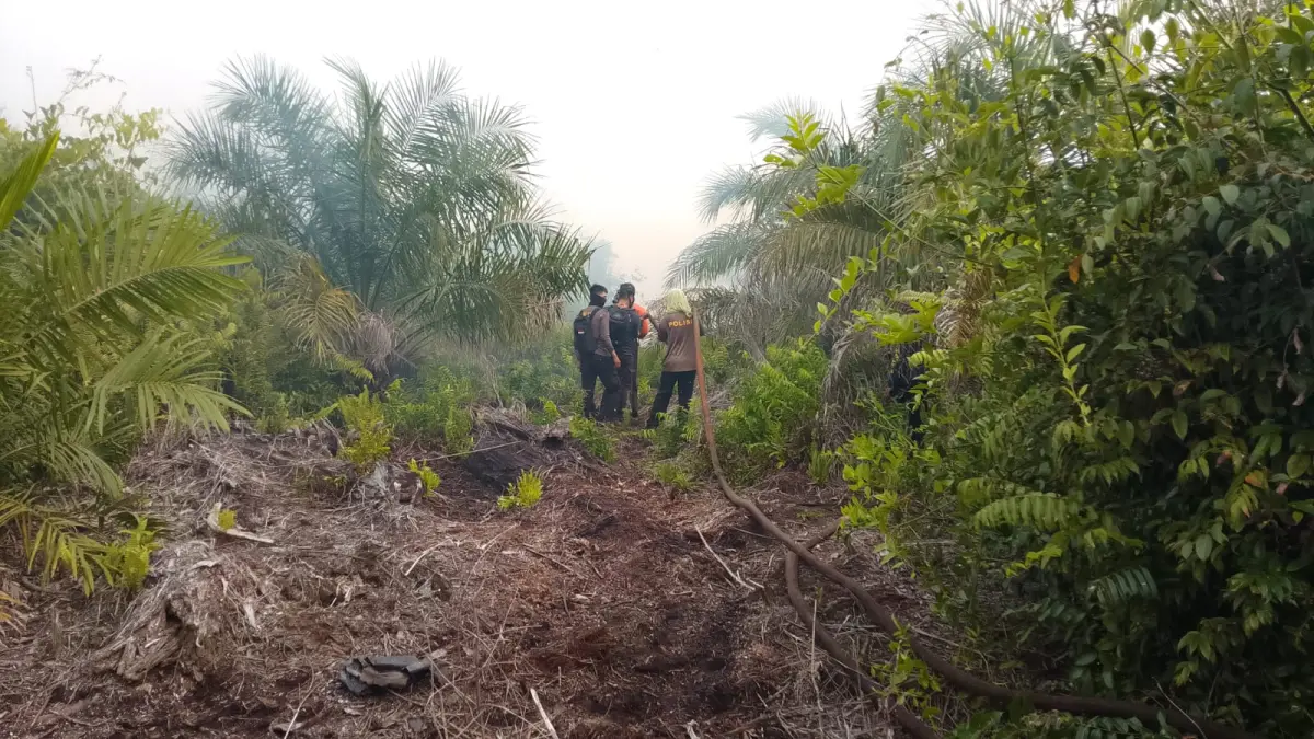 PADAMKAN API: Tim gabungan memadamkan karhutla di areal perkebunan kelapa sawit PT Saraswati Agro Estate, Desa Pak Mayam, Kecamatan Ngabang, Landak, Minggu (23/8). Kebakaran melanda sekitar 30 hektare lahan.