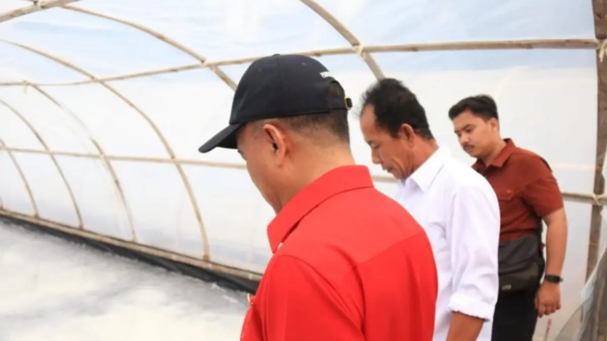 Wakil Gubernur Kalbar Krisantus saat meninjau langsung usaha garam rakyat di Desa Sebubus, Sabtu (22/8) (Antara / HO : Prokopim Kalbar)