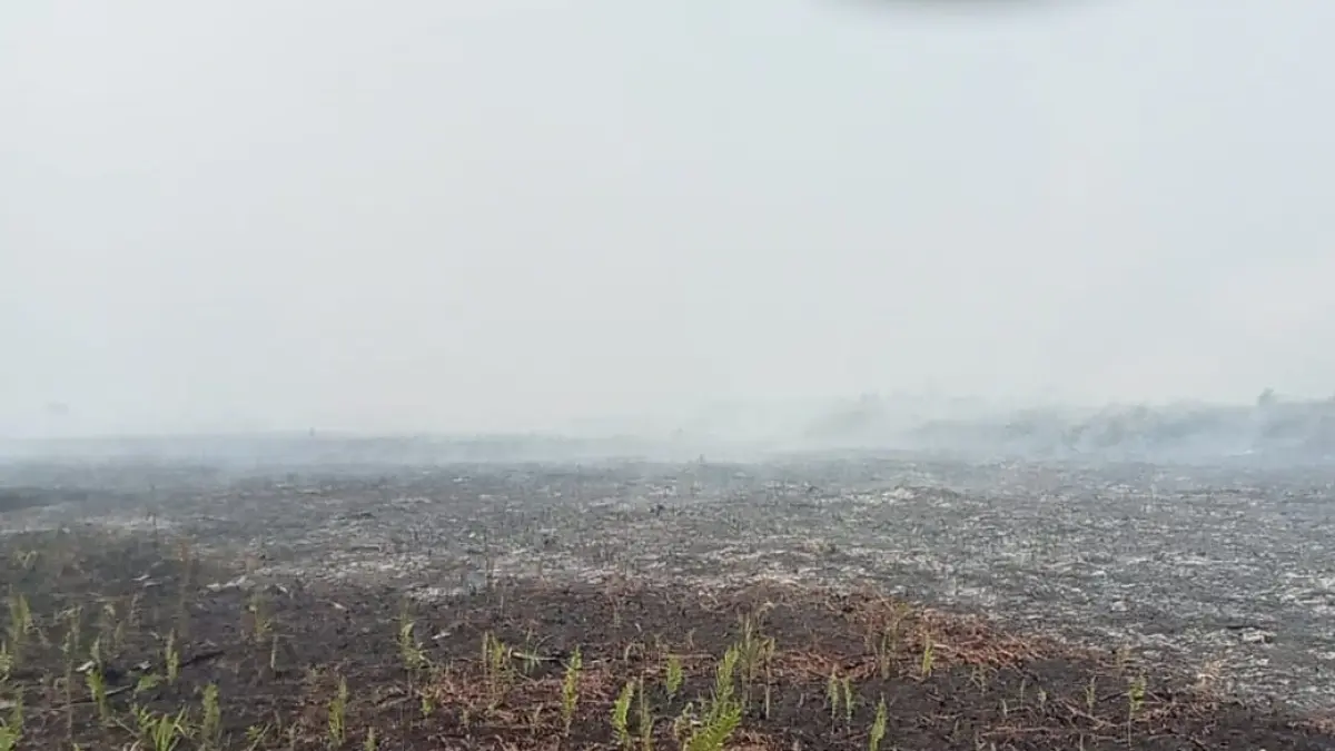 Kondisi kabut asap akibat kebakaran hutan dan lahan (karhutla) di wilayah Kecamatan Teluk Keramat, Sambas. Karhutla juga dilaporkan terjadi di sejumlah kecamatan lain.