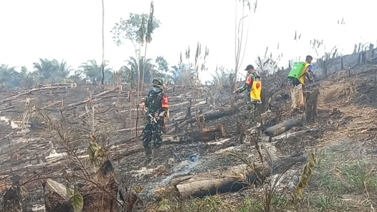 Koramil 1204-10/Balai bersama masyarakat memadamkan kebakaran hutan dan lahan di Kecamatan Balai, Kabupaten Sanggau.(22/08)(ISTIMEWA) 