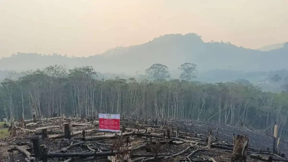 Petugas Gakkum Kementerian Kehutanan memasang spanduk penanda areal dalam pengawasan di sejumlah lokasi perusahaan di Kalimantan Barat.  (Gakkum Kemenhut)