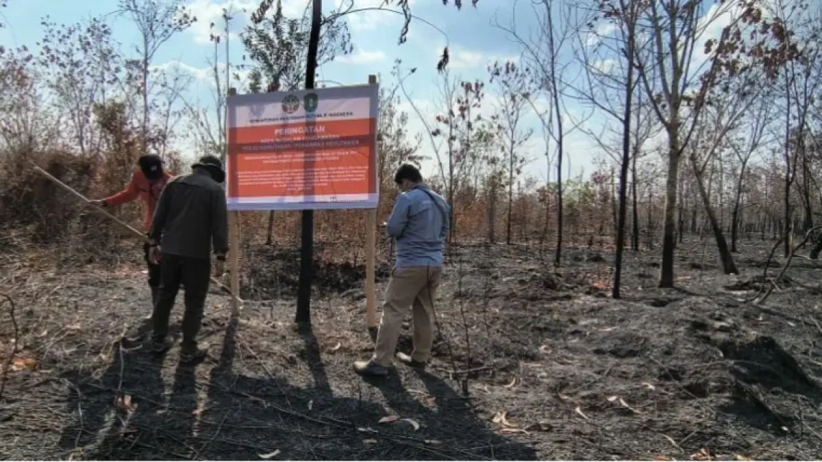 Petugas Gakkum Kementerian Kehutanan memasang spanduk penanda areal perusahaan dalam pengawasan terkait penanganan karhutla di Kalimantan Barat. (Foto: Gakkum Kemenhut)