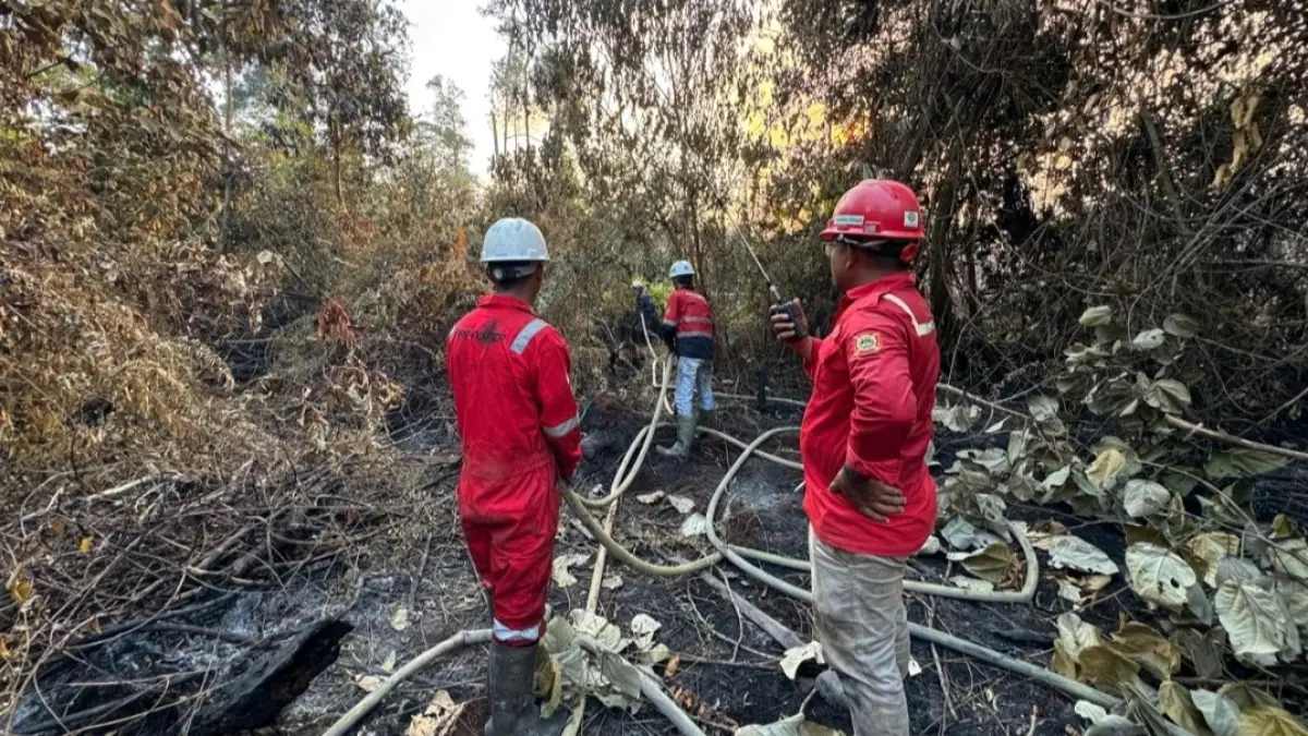 Tim pemadam PT Mayawana Persada memantau dan menangani karhutla di wilayah operasional perusahaan di Kalimantan Barat.