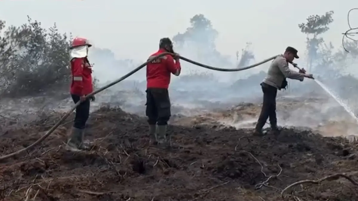 Upaya dalam pemadaman api akibat terjadinya karhutla belakangan ini. (ISTIMEWA)