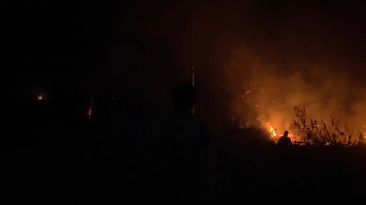 Kebakaran hutan dan lahan (karhutla) di Kabupaten Sintang telah menghanguskan sekitar 335,5 hektare lahan.

