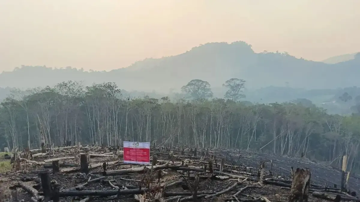 Petugas Gakkum Kementerian Kehutanan memasang spanduk penanda areal dalam pengawasan di sejumlah lokasi perusahaan di Kalimantan Barat.