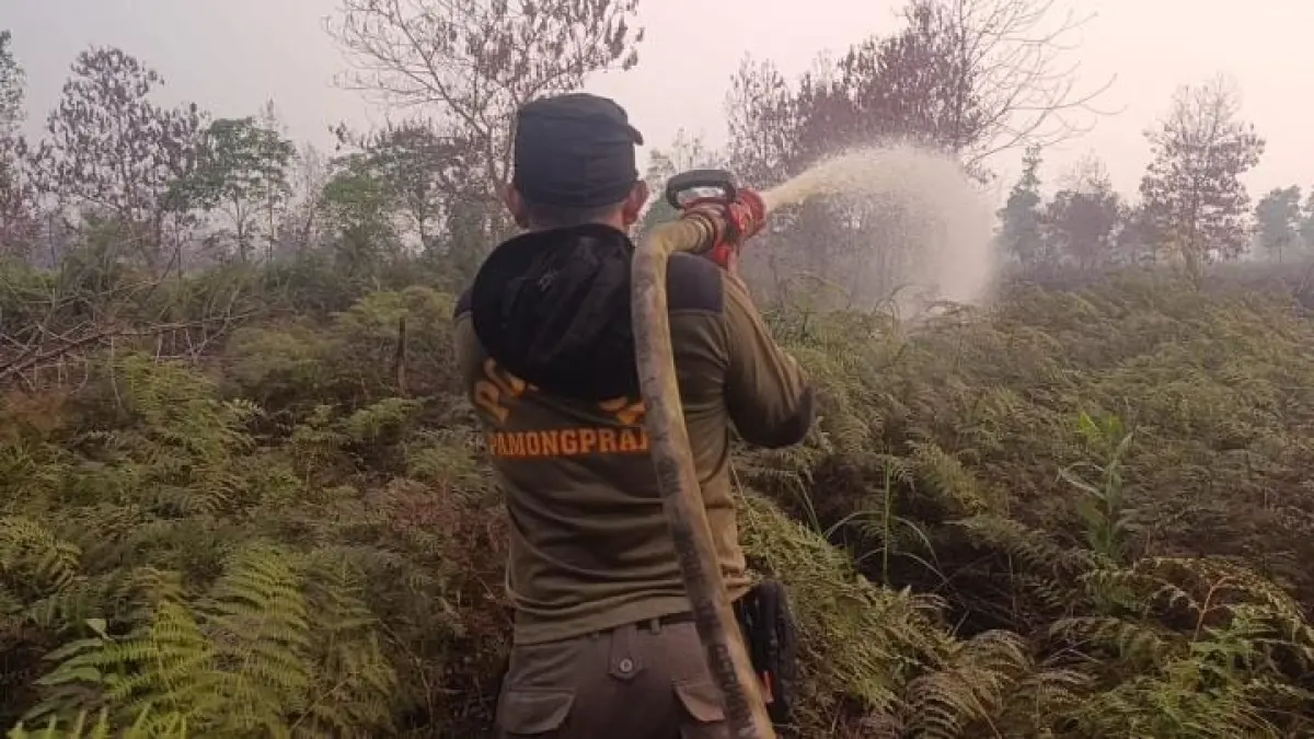 Satgas Linmas Satpol PP Provinsi Kalbar bersama BPBD Provinsi Kalbar melakukan pemadaman dan pendinginan di lahan bekas terbakar di belakang SMKN 4 Sungai Raya, Kubu Raya, Rabu (26/8). (ADPIM PEMPROV)