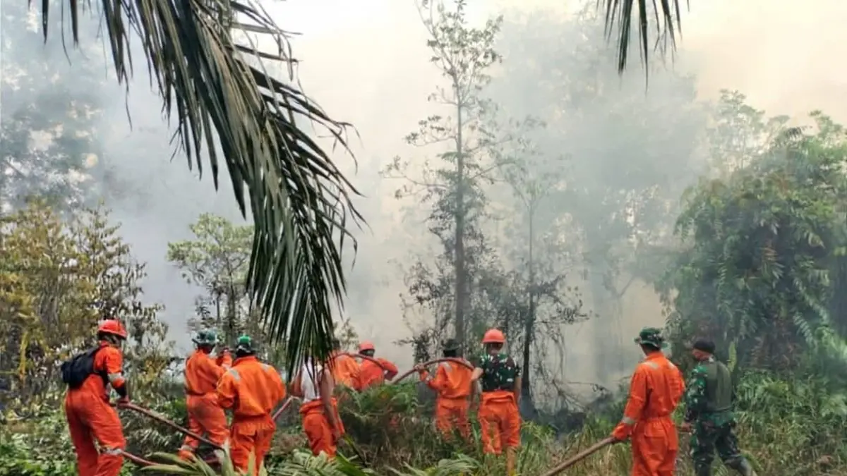 Kabut Asap Singkawang Makin Pekat, DPRD Soroti Dukungan Pemkot untuk Petugas Pemadam BPKS.
