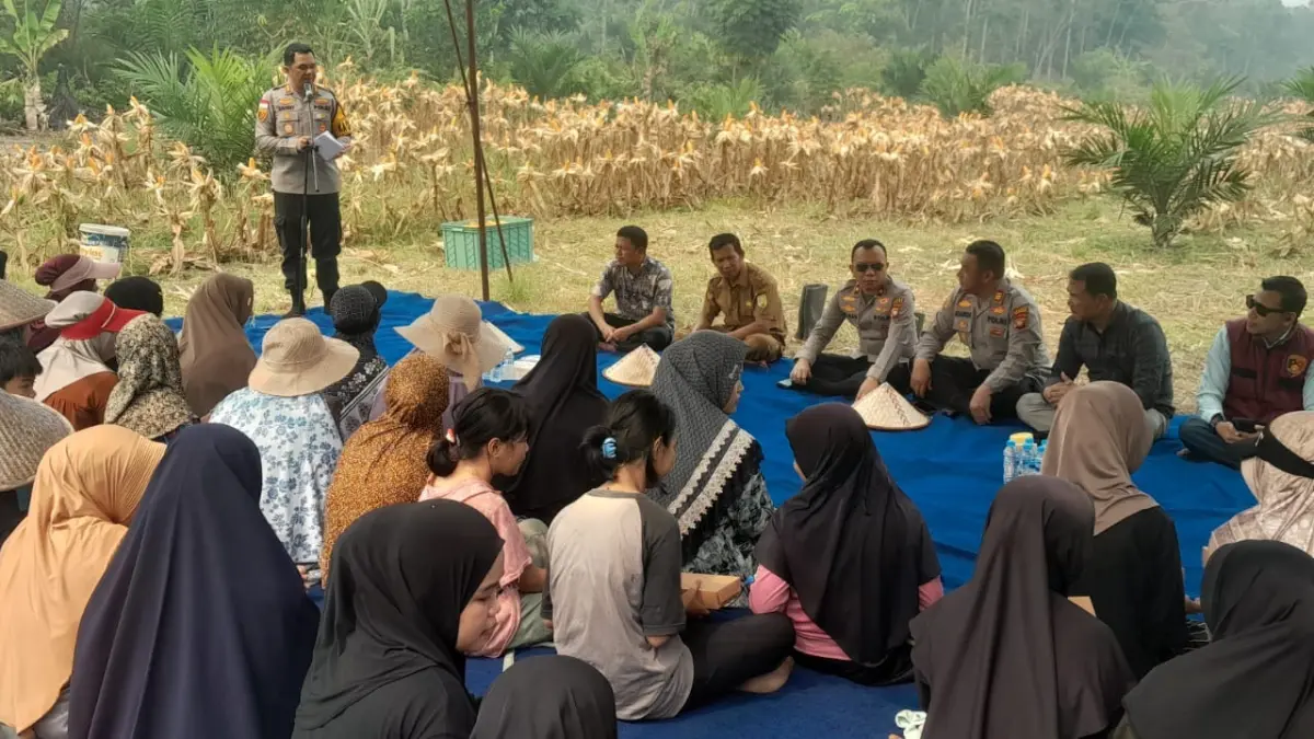 Kapolres Sambas Panen Jagung Bersama Petani, Masker Dibagikan untuk Lindungi Warga dari Kabut Asap