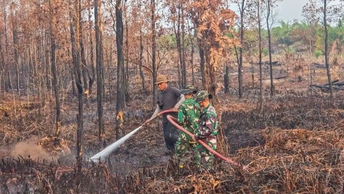 Lokasi Karhutla di Kecamatan Kendawangan, Minggu (30/8) mendapat peninjauan Bupati Ketapang, Alexander Wilyo. (ISTIMEWA)


