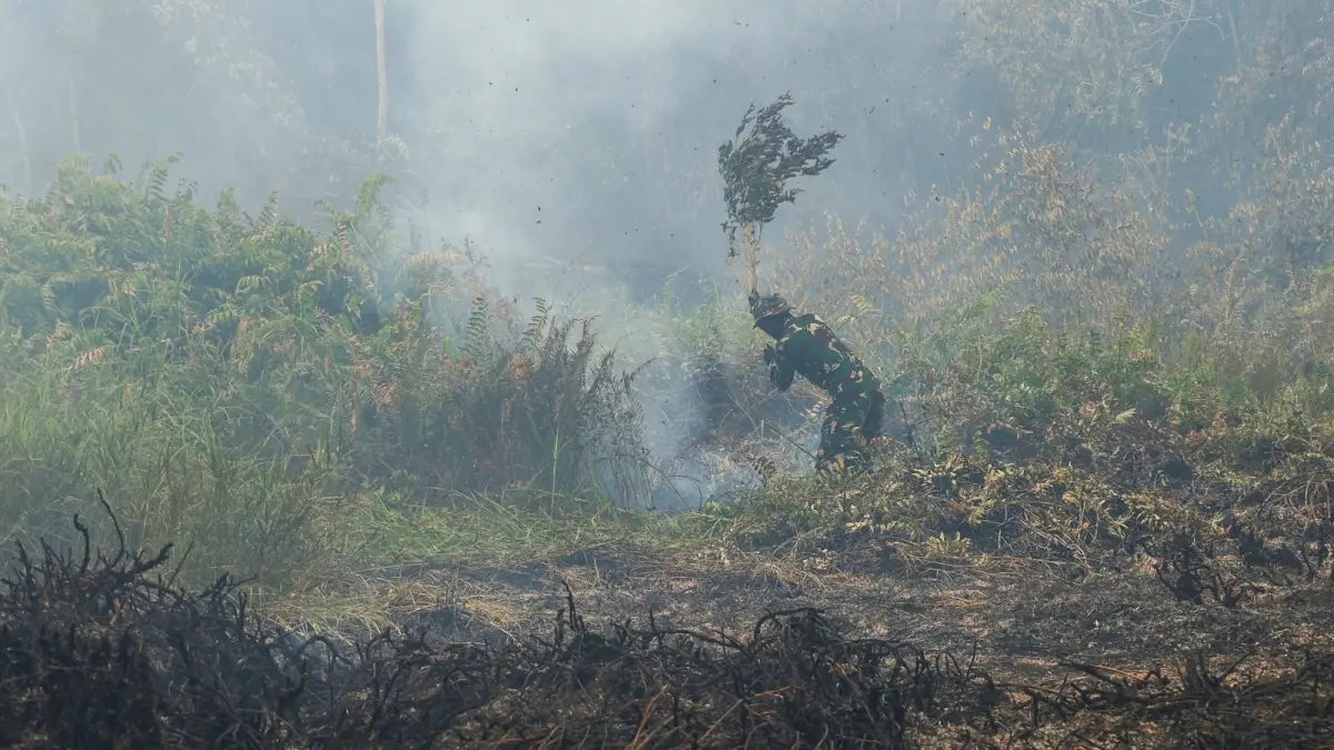 Personel Yon TP 882/Hulubalang memukul sumber api yang membakar semak-semak menggunakan dahan saat menangani kebakaran lahan gambut di Dusun Lintang Batang, Desa Teluk Bakung, Kecamatan Sungai Ambawang, Kabupaten Kubu Raya, Kalimantan Barat, Senin (31/8). (ANTARA FOTO/JESSICA WUYSANG)