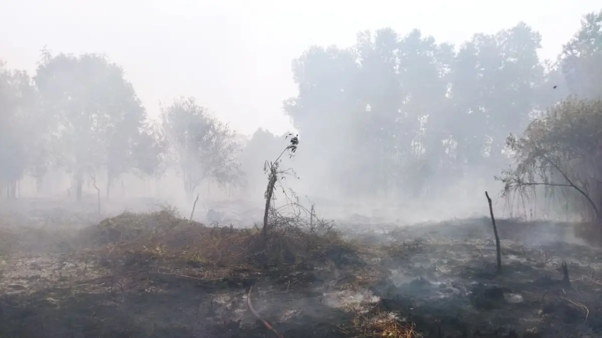 Kondisi lahan yang terbakar di Desa Sungai Baru, Kecamatan Teluk Keramat. 