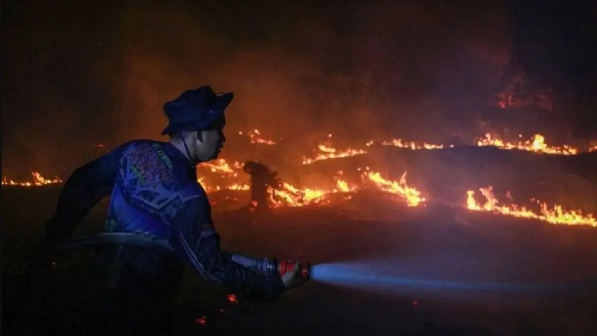 Ilustrasi - Petugas berjibaku memadamkan api karhutla hingga malam hari. (Antara) 